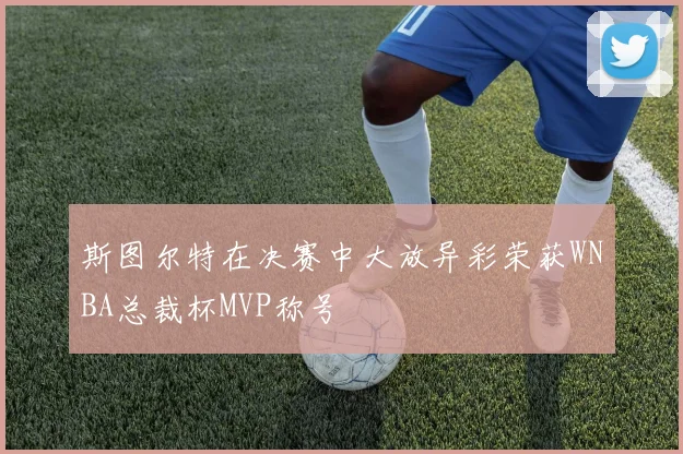 斯图尔特在决赛中大放异彩荣获WNBA总裁杯MVP称号